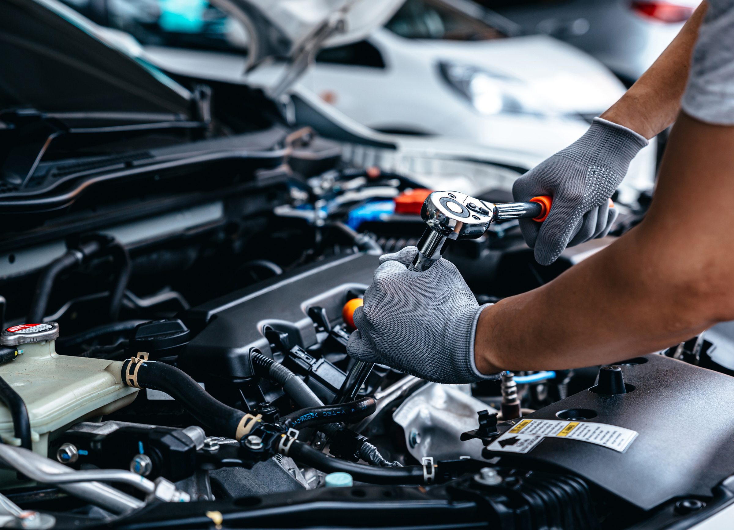 AdobeStock_521931702